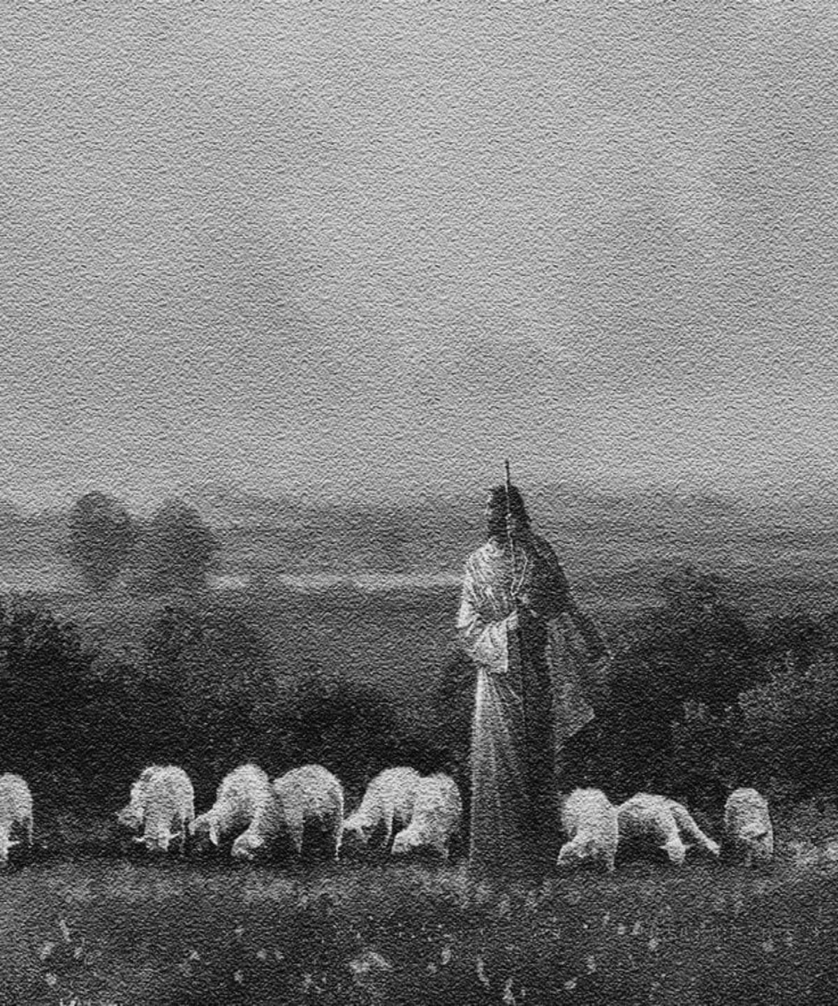 The Shepherd